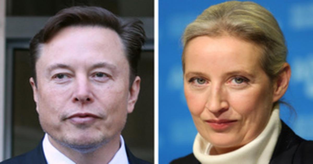 Az AfD kampányát Elon Musk neve fémjelzi Németországban
