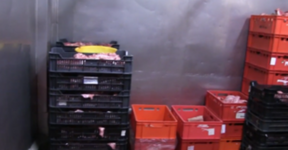 Felfüggesztették a törökszentmiklósi húsüzem működését