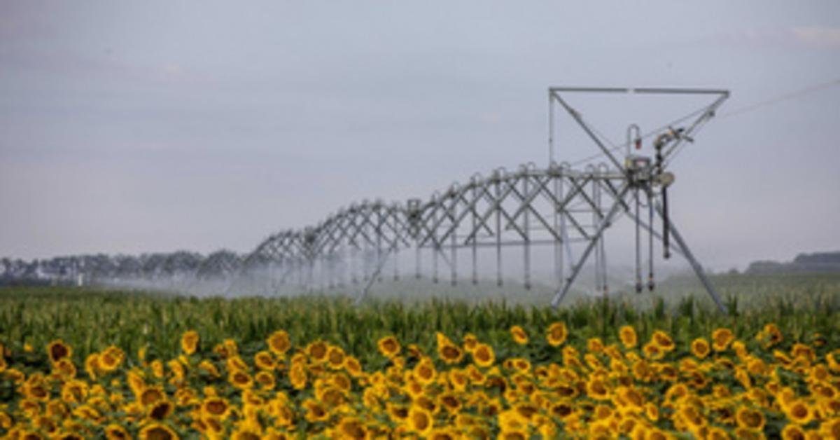 Az MBH Bank új mezőgazdasági támogatási programja