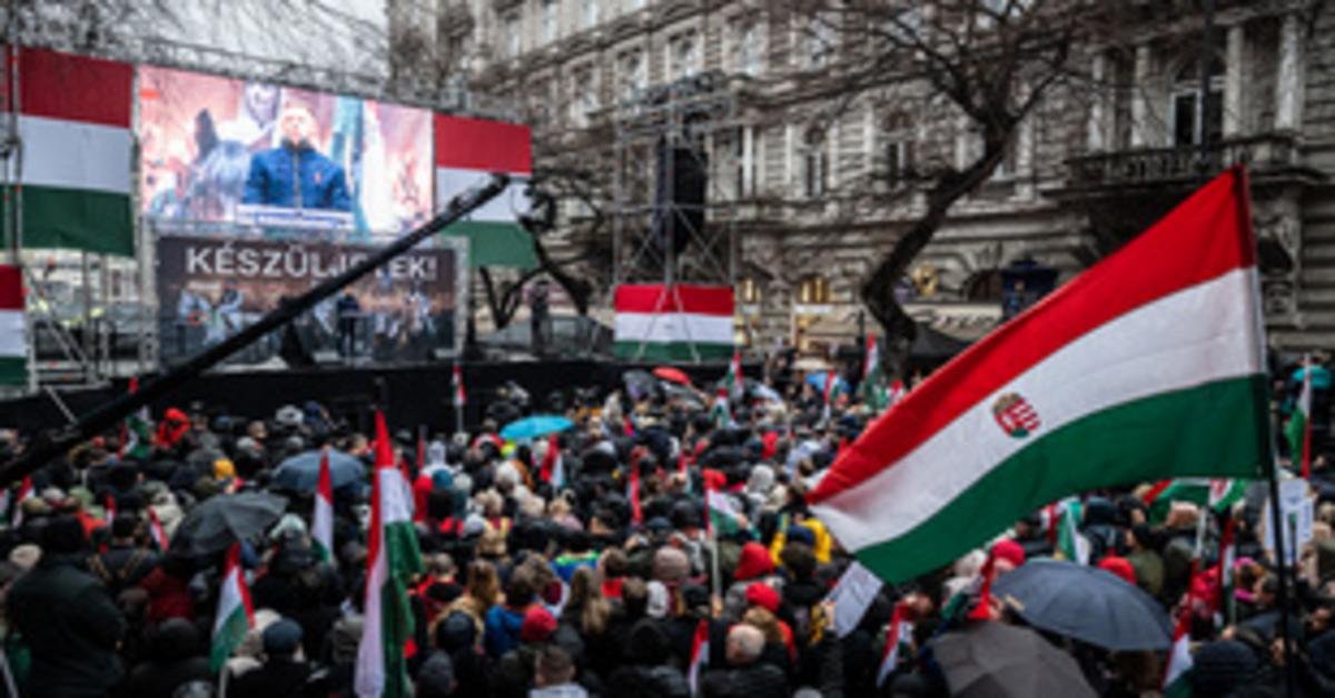 Magyar Péter beszéde az Európai Parlamentben nagy visszhangot keltett