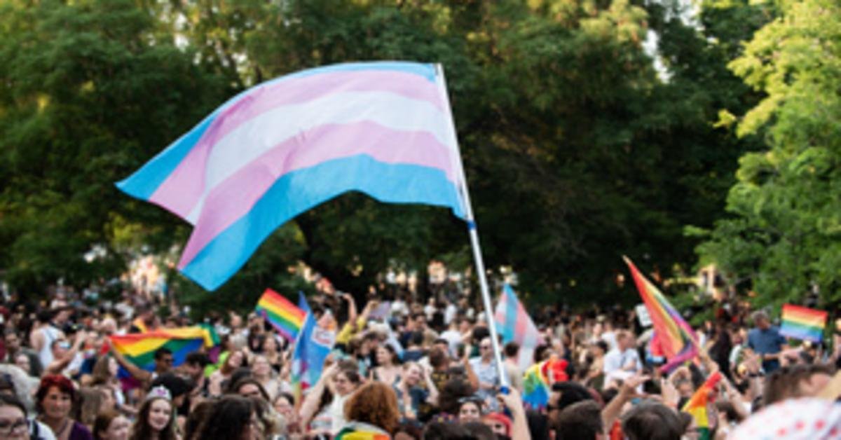 Vona Gábor és momentum tüntetés a gyülekezési törvény ellen