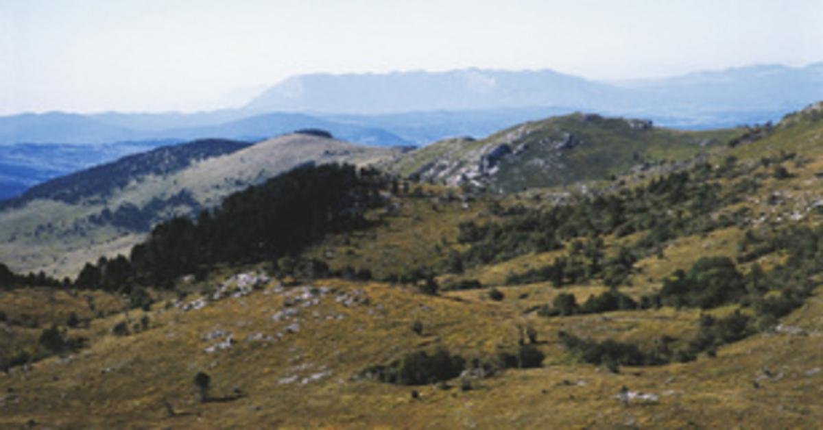 Szlovénia visszavonja szélerőmű engedélyét a világörökségi területen