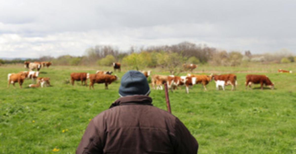 A magyar élelmiszer-ellátás biztosítása járványok idején