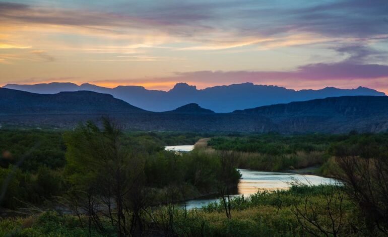 Egy ember újraerdősíti a Rio Grande-völgyet