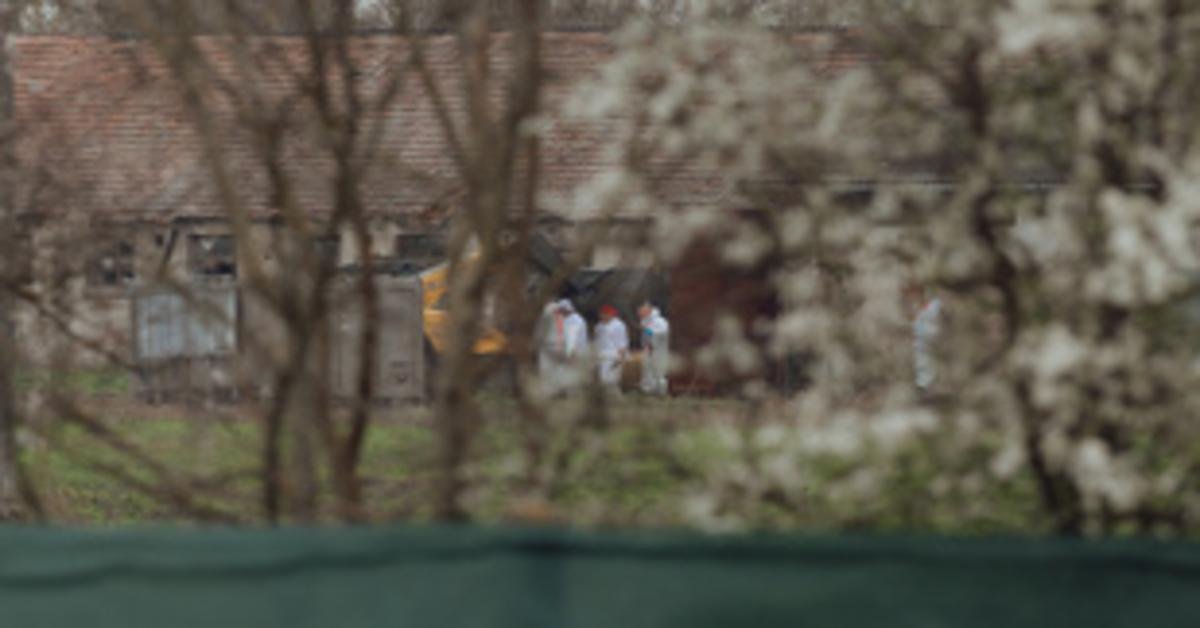 Száj- és körömfájás miatt szigorítások Szlovákiában