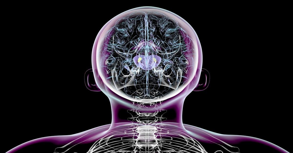 Tudósok egerek parkinson-kór tüneteinek visszafordításában értek el sikert