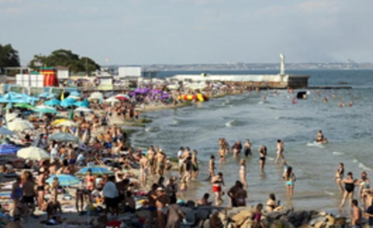 Új baktérium veszélyezteti a Fekete-tenger élővilágát