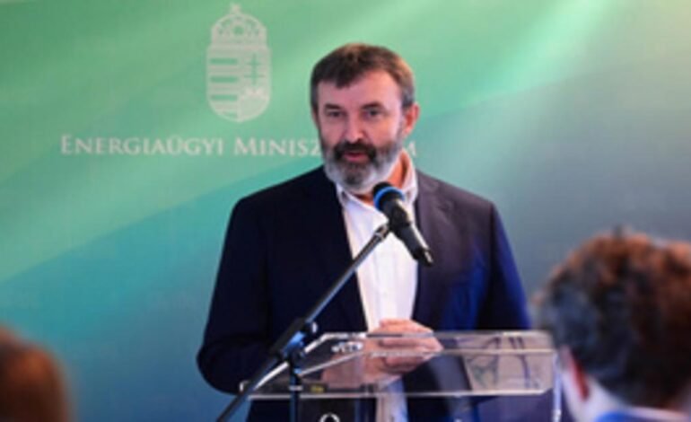 Mesterséges intelligencia szerepe a magyar gazdaság fejlesztésében