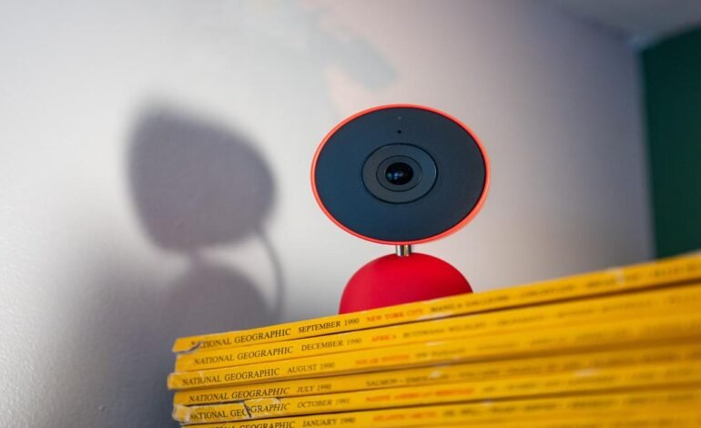 A google gemini kutyát macskának néz otthon