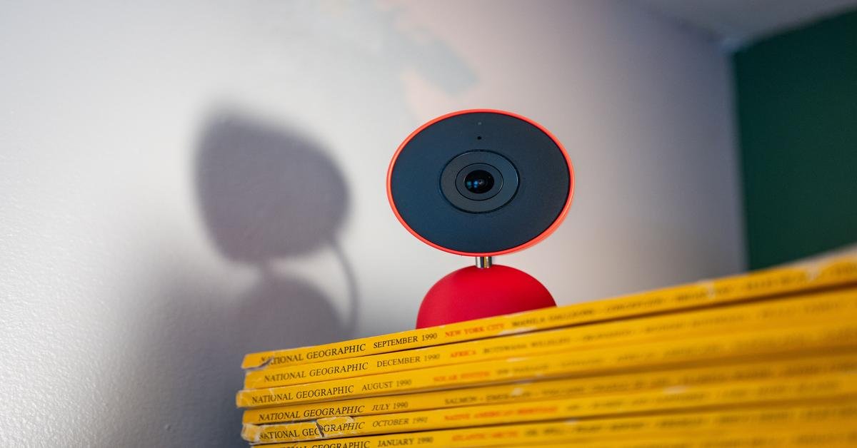 A google gemini kutyát macskának néz otthon