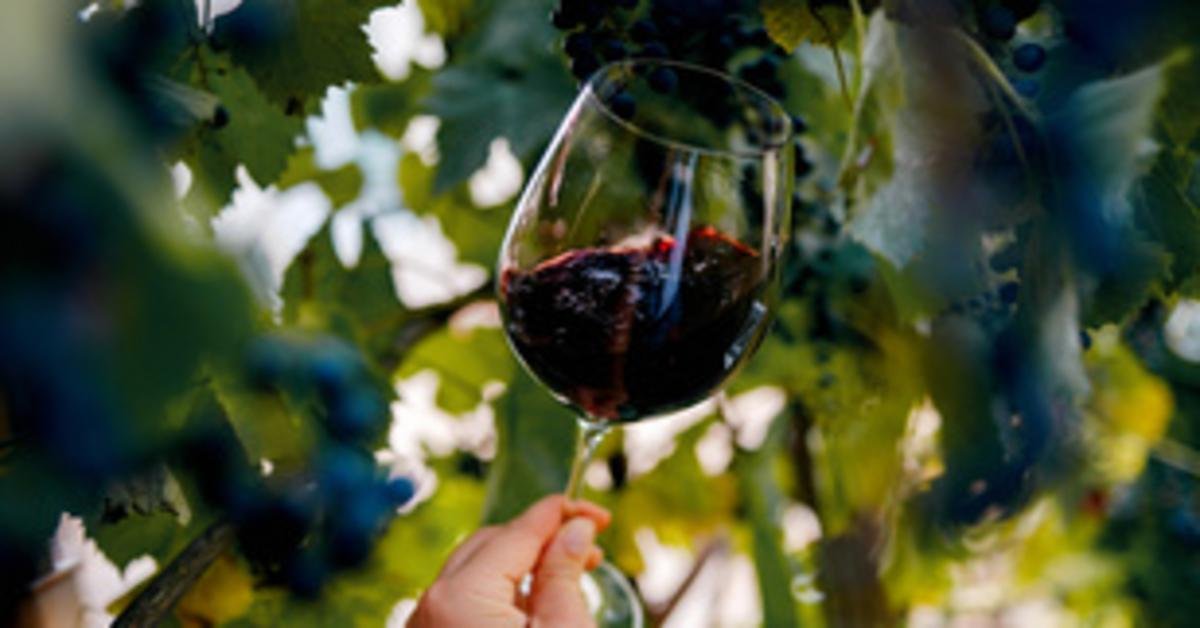 A jamnertal borbirtok aranyérmet nyert Koreában